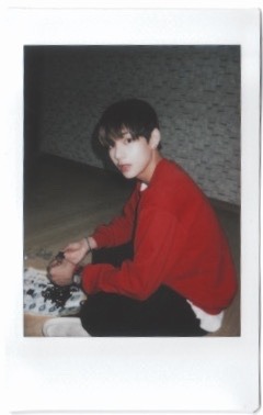 nutaellas:cutest polaroids of taehyung