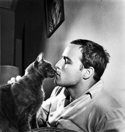 miss-vanilla:  Marlon Brando and a cat, 50s.