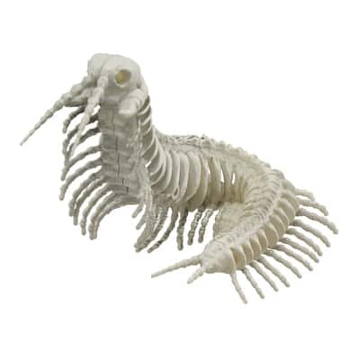 5.5" Centipede Skeleton by Ashland® | Michaels