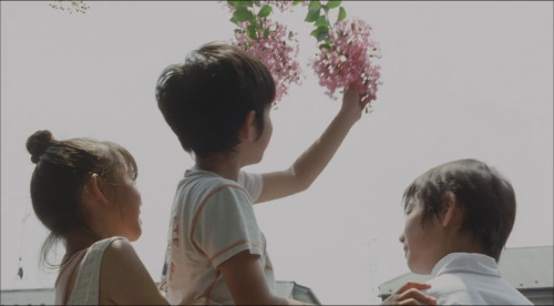 365filmsbyauroranocte:  Still Walking (Hirokazu Koreeda, 2008)  