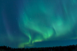 fishsticksfromthenorth-ish:  A little aurora from last night