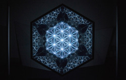 asylum-art:  Patterns of Harmony by Gaspar Battha Patterns of Harmony is a mirrored projection mapping installation inspired by quantum physics and a research to find the origin of geometry. It focuses on all of nature’s weird beauty, takes concepts