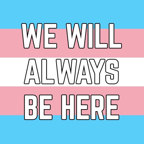 (Image description: the trans, nonbinary, genderqueer, androgyne, and agender flags with the words &
