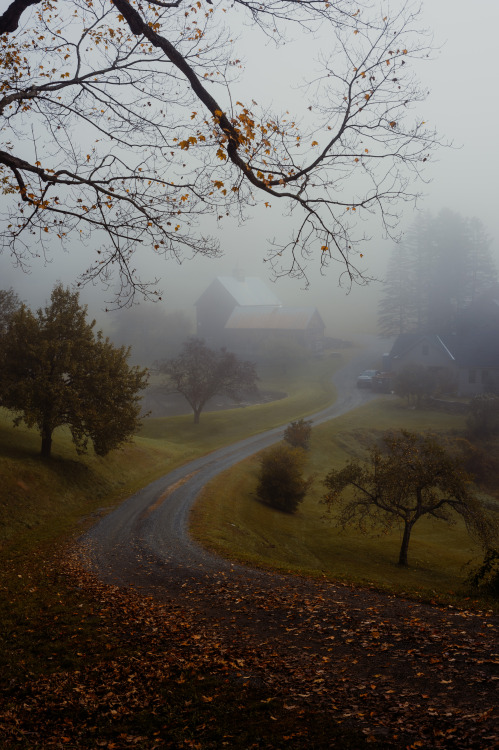 Foggy Vermont, October 2021