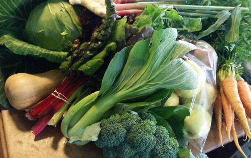 Forgot I took a pic of all my beautiful veg from the #cobblestonefarmersmarket before stowing in the