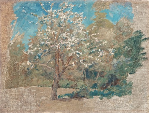 Apple Tree Blooming.c.1886.Oil on relined Canvas.25 x 33 cm.(9.84 x 12.99 in.)Art by Johan Krouthén.