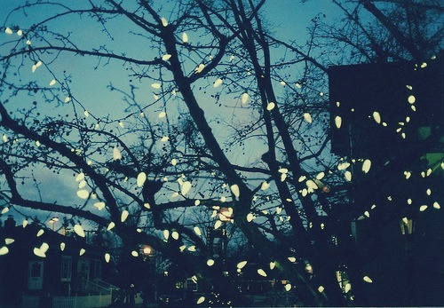 If you want to be happy, be.-Leo Tolstoy