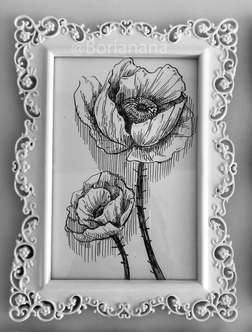 Ink drawings in frames for my shop!Avaliable: https://borianana.com/en/Boriana Savova / Borianana / 