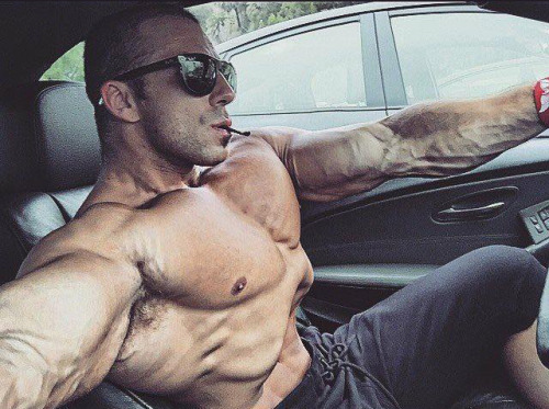 Adonis Files