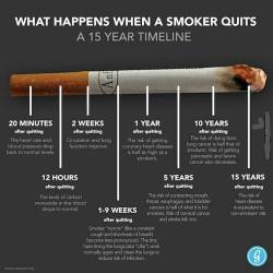 theacenightwatch:  classicdaisycalico:  thepyrobotsoul:  nutritionbeast:  This is what happens when a smoker quits. Pass it on.  This is so important  How does this not have more notes?! Seriously, take the time to read this because it could save a life.