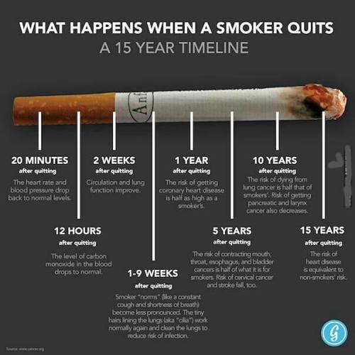 lyrangalia:  minim-calibre:  minim-calibre:  lyrangalia:  theacenightwatch:  plenty-of-bitches:  theacenightwatch:  classicdaisycalico:  thepyrobotsoul:  nutritionbeast:  This is what happens when a smoker quits. Pass it on.  This is so important  How