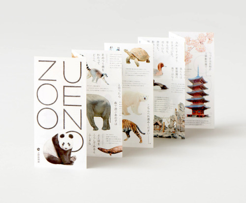 Vibrant concertina brochure by Misawa Design Institute