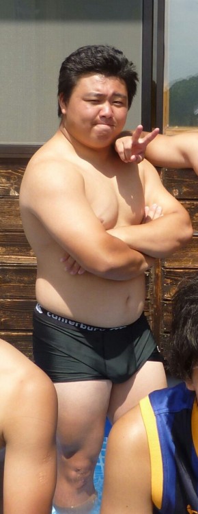 Asia bear
