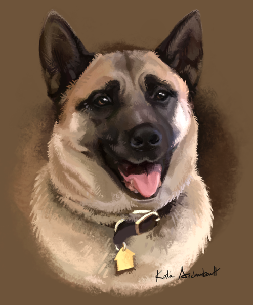 I painted this portrait of Miko, my aunt and uncle’s dog who recently passed.She will be missed!on d