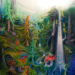 psychedelevangelist:  mimosauniverse:  Art by Tyler Gentry - In the heart of Mt Elphinstone lies the spirit of Robert Creek   I spy Psilocybe Cyanescens bottom left! This guy knows the good shit.