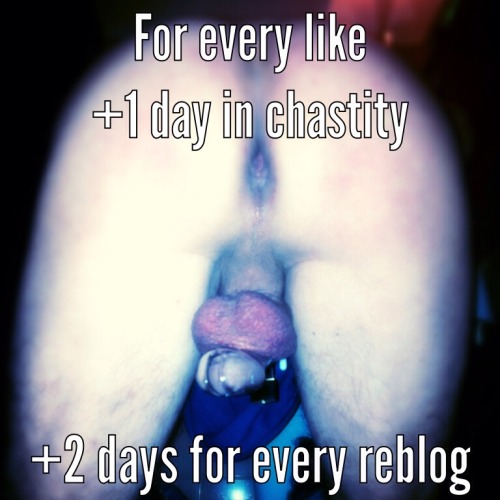 farmgrown22:  frenchlockedman:  For every like  1day in chastity   2days for every reblog  