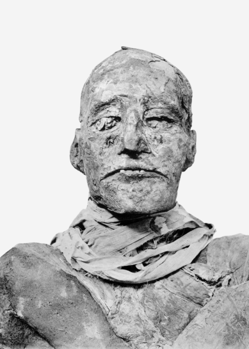 deathandmysticism: G. Elliot Smith, Mummy of Ramesses III, 1912