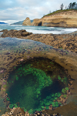 shoobidoo:  Low Tide by ~StevenDavisPhoto