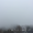 sophist-icate:sometimes I feel like I exist too much and its time to disappear again