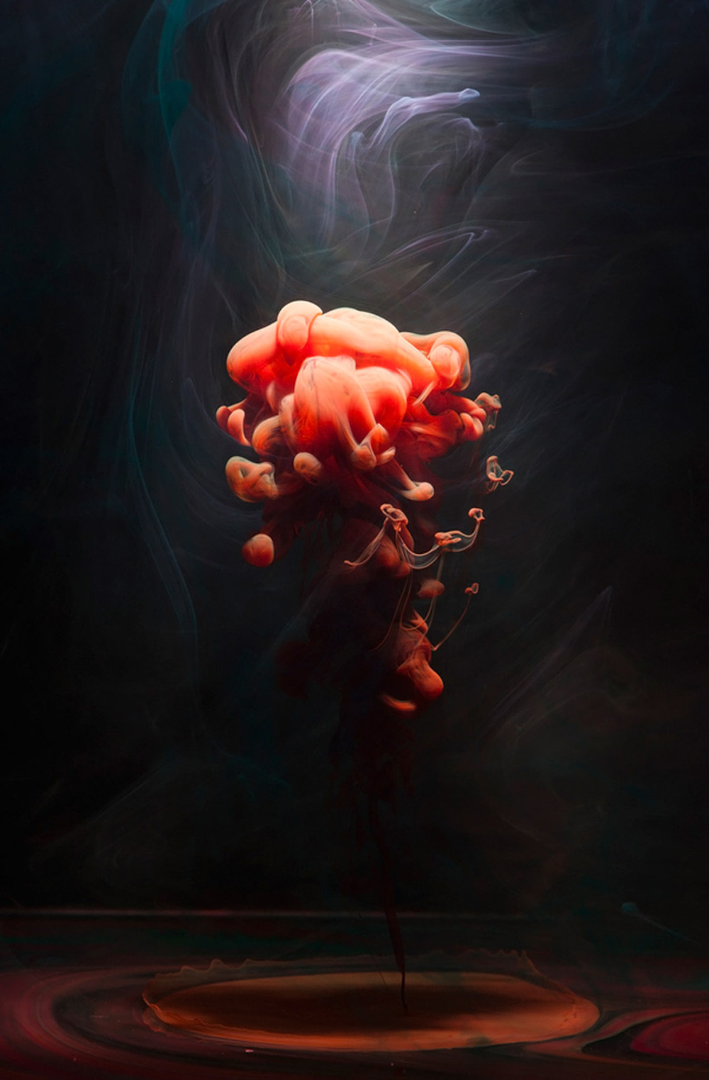 likeafieldmouse:  Luka Klikovac - Demersal (2012) - Various kinds of colored fluid