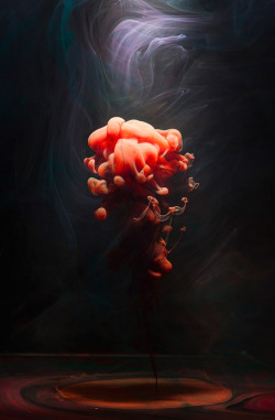 likeafieldmouse:  Luka Klikovac - Demersal (2012) - Various kinds of colored fluid in water 