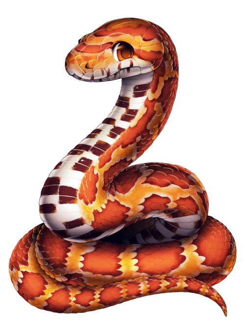 furvilla:  Reptiles! Albino Ball Python, Corn Snake, Ball Python, Milksnake, King Cobra, Arizona Whiptail, Collared Lizard, Bearded Dragon 