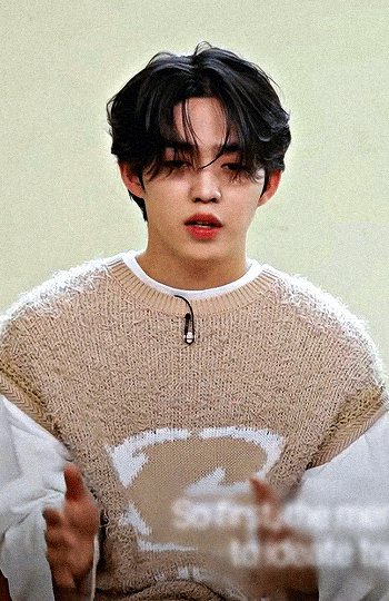 S.COUPSW Korea - 17 Questions With Seventeen