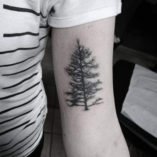 Árvore feita ontem! Obrigado pela confiança  #tattoo #tree #joinville #dotwork #smallt