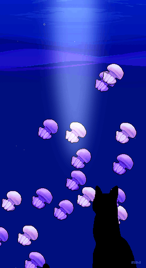 Jellyfish Aquarium