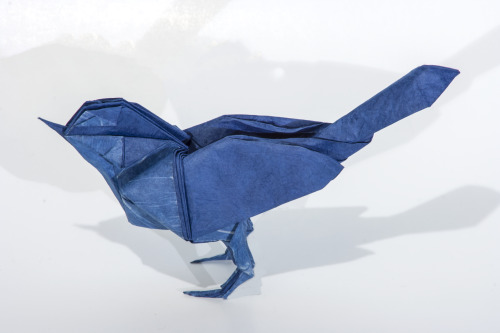 Origami Wagtail