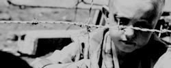 El Ignorante Vive Y Muere Feliz... ☾