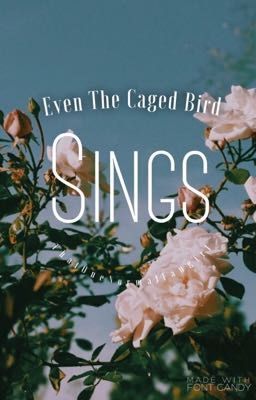 Even The Caged Bird Sings {Shouto Todoroki x OC} - Chapter One (on Wattpad) https://my.w.tt/sSAbo5QQ