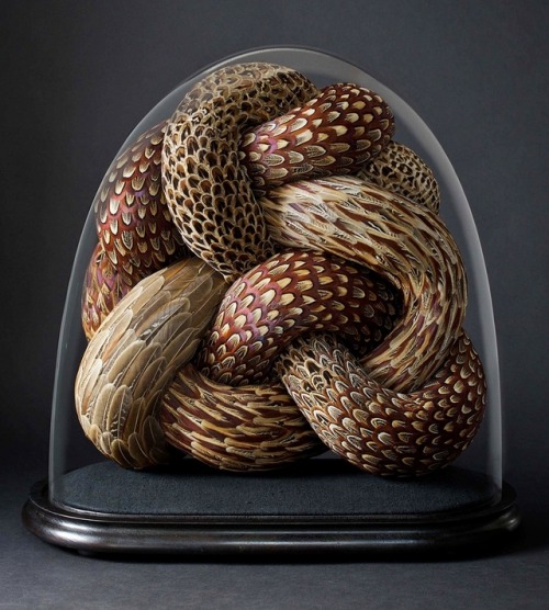 crossconnectmag:Feather Sculptures by Kate MccGwireKate MccGwire is an internationally renowned Brit