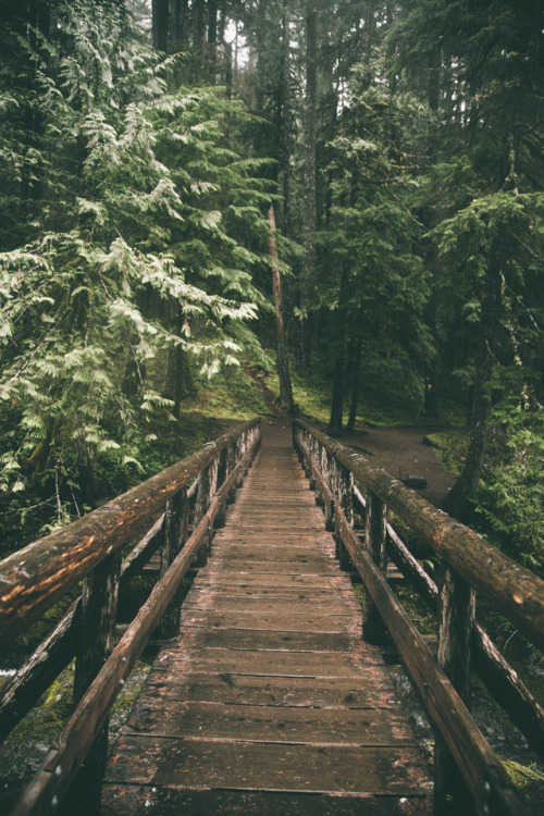 hannahkemp:Trail Bridge//Oregon November 2017Prints//Instagram