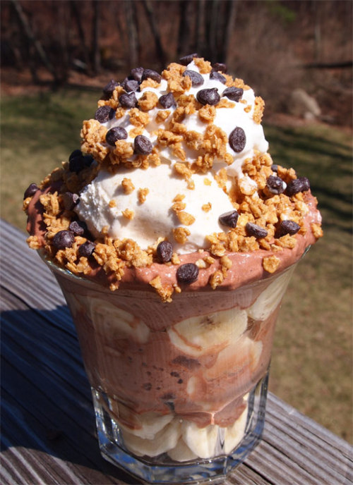 The (failed) Banana Parfait Sundae
this is not how I envisioned this. 2 layers of bananas and chocolate whip cream, a big scoop of banana rum jam swirl ice cream, granola and chips