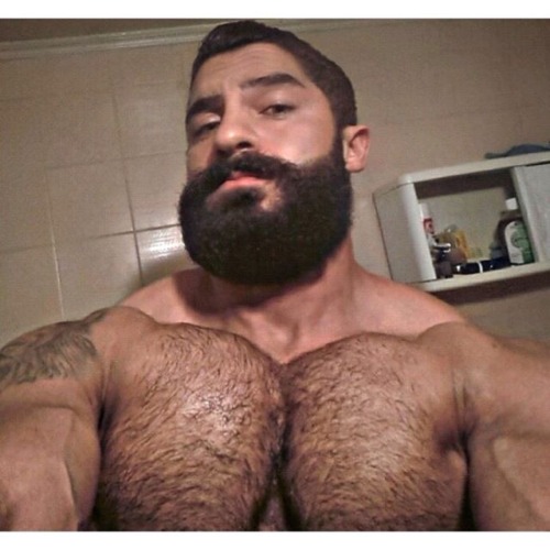 Porn Awesome pecs, great hairy chest, this is photos