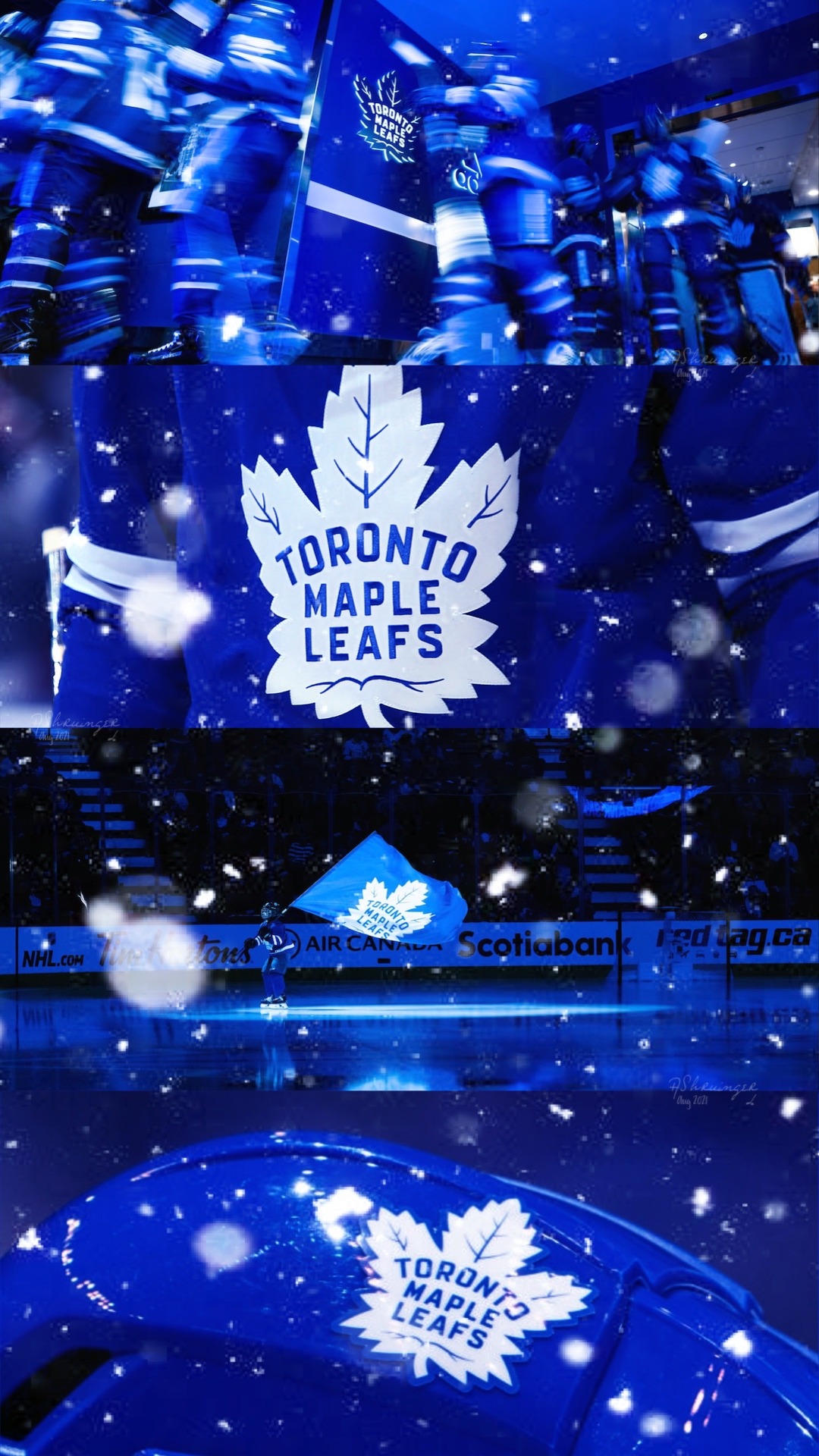 toronto maple leafs wallpaper｜TikTok Search