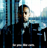 thoughtfulll:  chadwickb:  Captain America Civil War: a summary  paging @dailylifeofadizzyfangirl 
