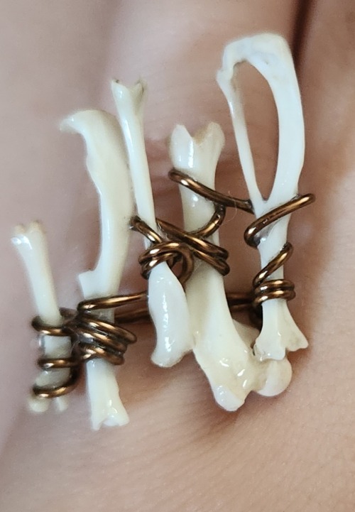Made Some More Jewelry! (Ignore My Hatsune Miku Shirt Lol)