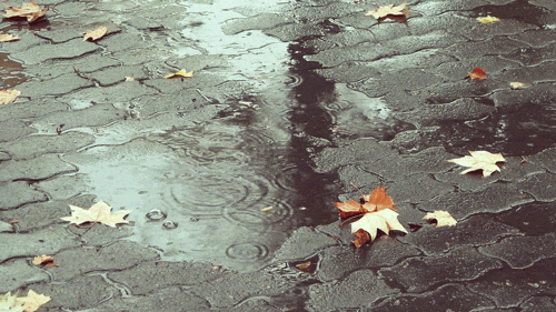 rainy&ndash;blog:  rain here