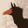 lydianlyre: jackthevulture: Me, about to be killed in a horror movie by a sweet looking