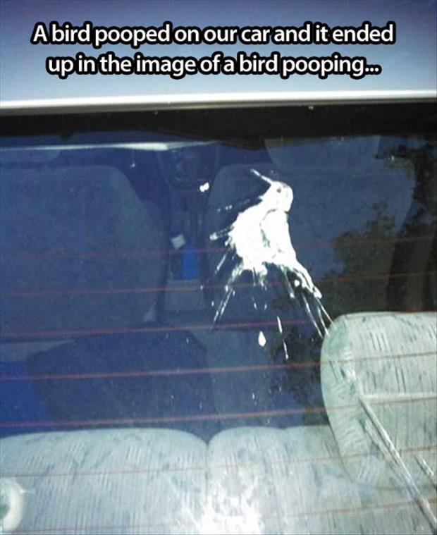 Cagada de pájaro con forma de pájaro cagando