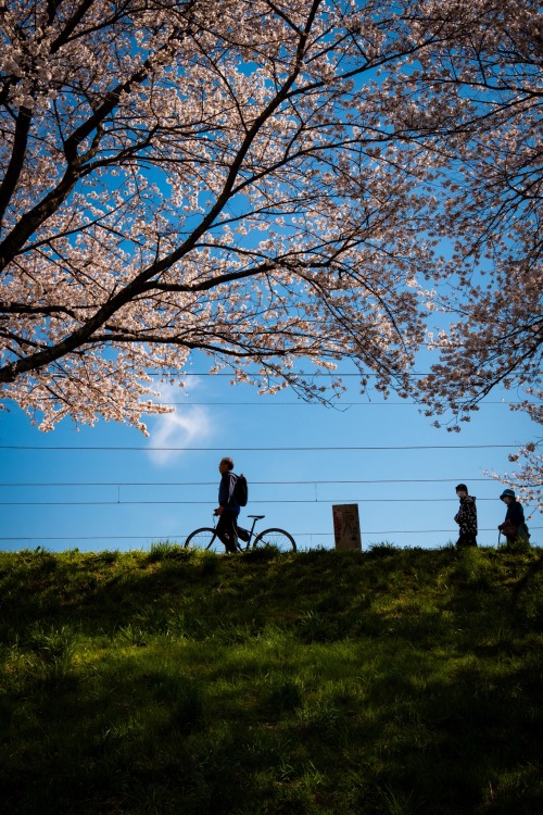 shi-npon - Scenery around shinpon