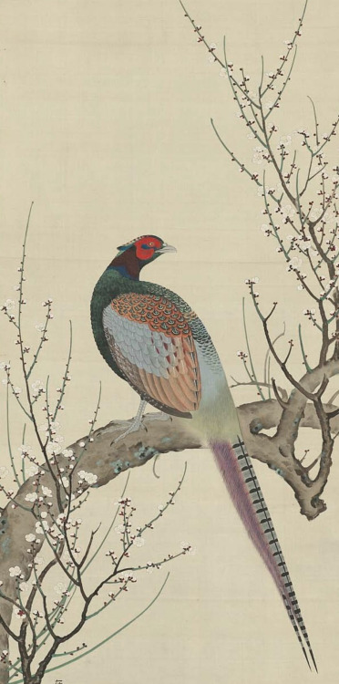 Pheasant on a plum tree. .  Main detail of a hanging scroll; ink and color on silk,  early 19th cent