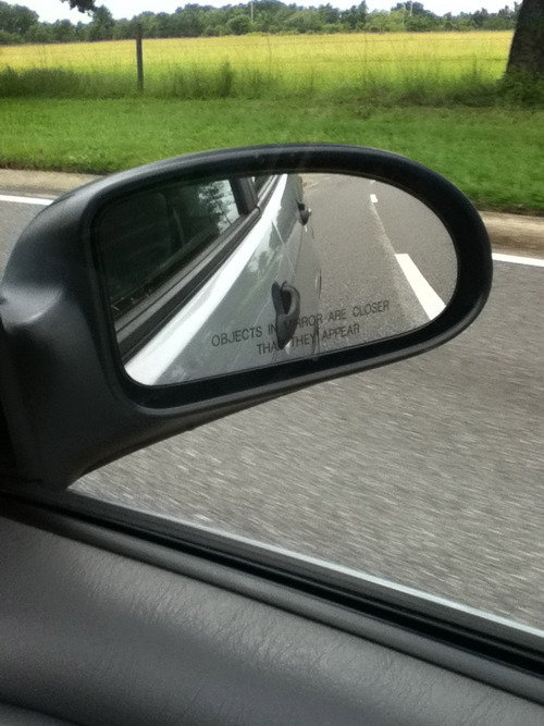 fuzzylobsterface:  durbikins:  For the past two days, this little dinosaur has been