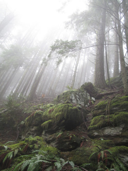 quiet-nymph:  Mt. Blanchard, Washington by mwkelley