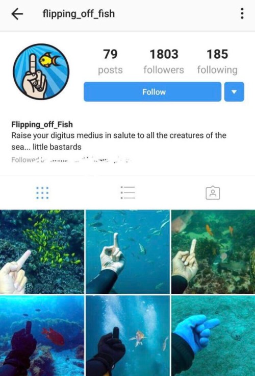 kaijuno:Now HERES an Instagram account 