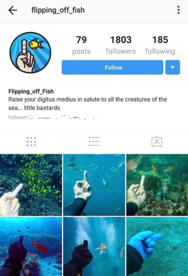 kaijuno:Now HERES an Instagram account 