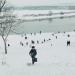timotheescloset:Mirror (1975) dir. Andrei Tarkovsky
