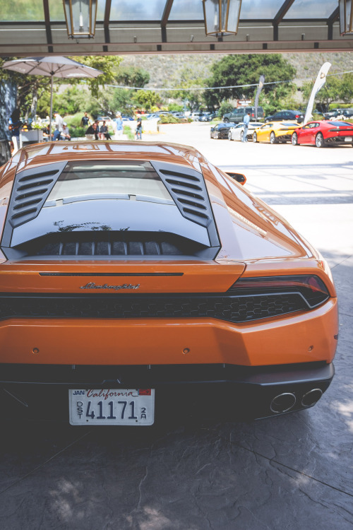 Sex thephotoglife:  Lamborghini Huracan. pictures